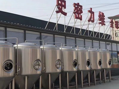 石嘴山精酿啤酒设备厂—市场规模与跨界新需求